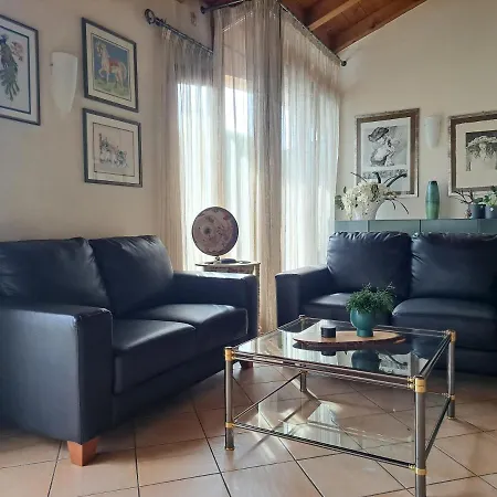 Lotus, Con Soppalco A *